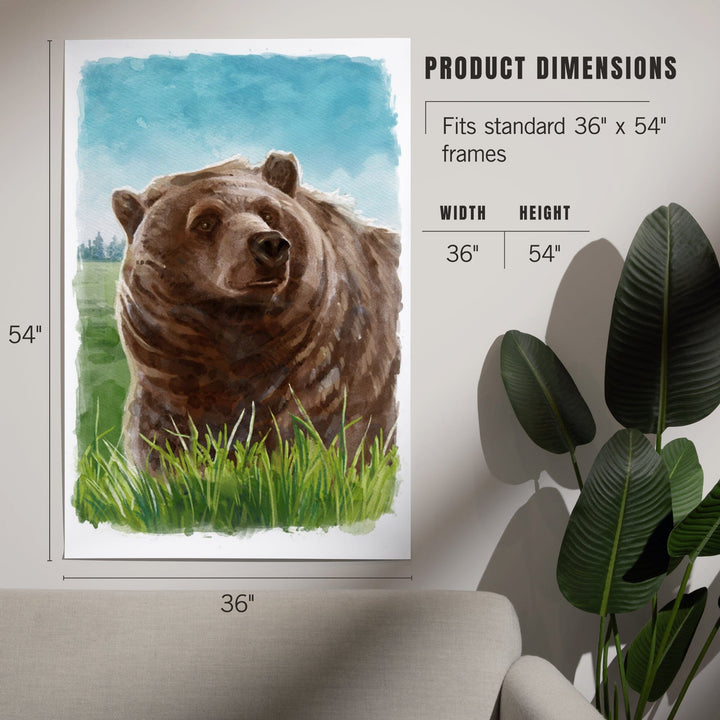 Watercolor Study, Grizzly Bear, Art & Giclee Prints Art Lantern Press 