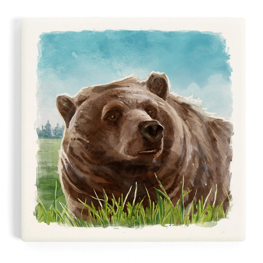 Watercolor Study, Grizzly Bear, Coasters Coasters Lantern Press 