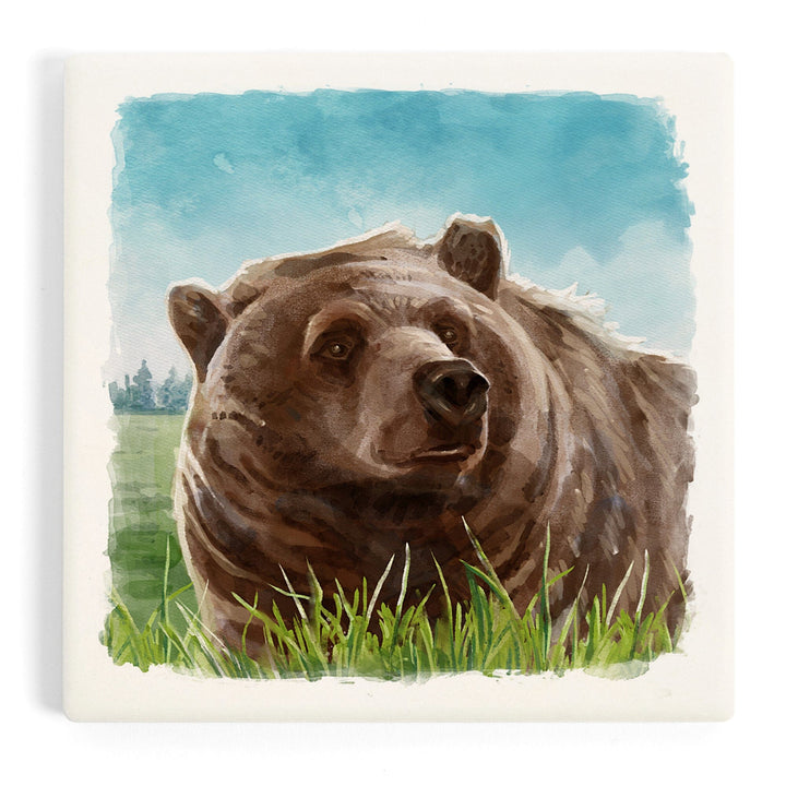 Watercolor Study, Grizzly Bear, Coasters Coasters Lantern Press 