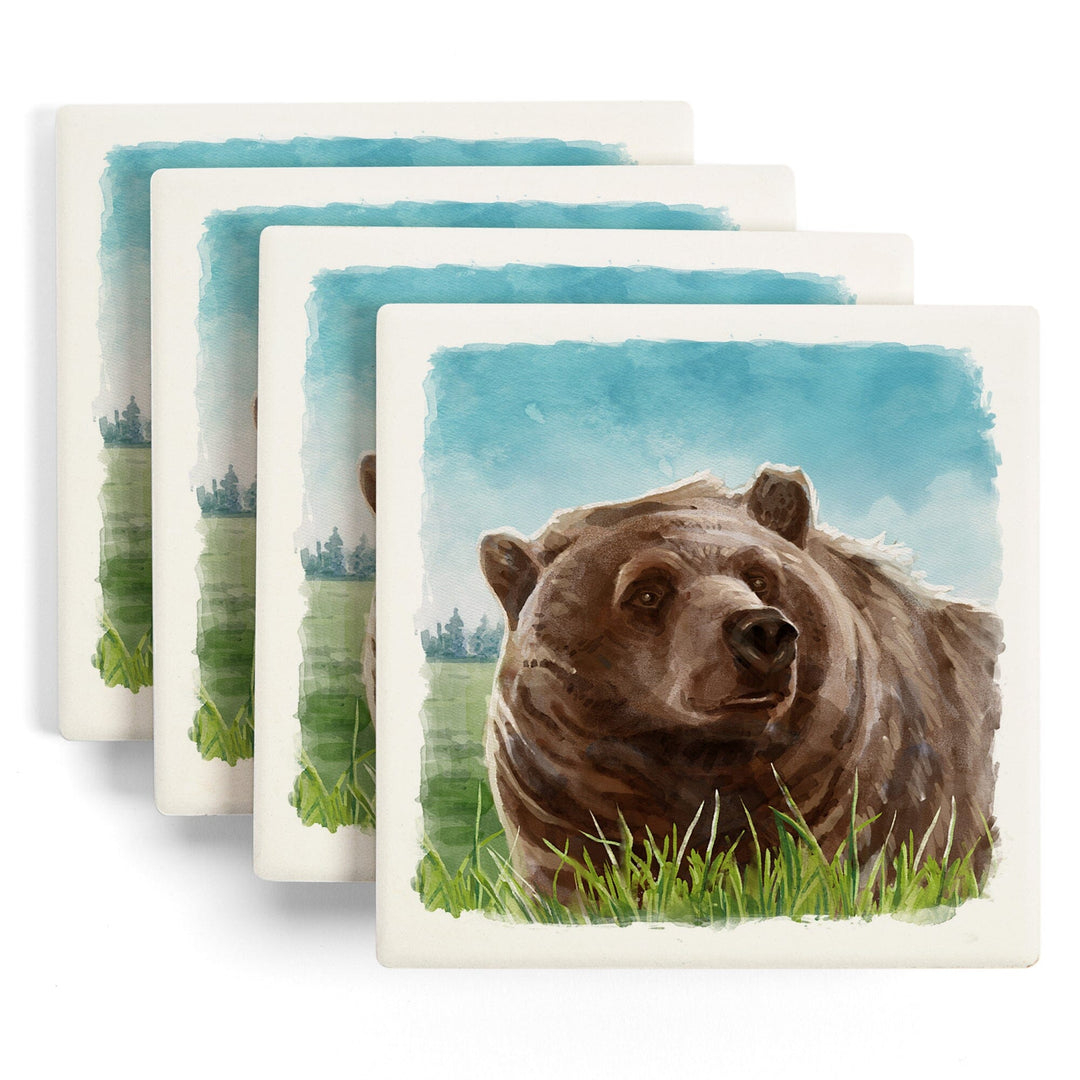 Watercolor Study, Grizzly Bear, Coasters Coasters Lantern Press 