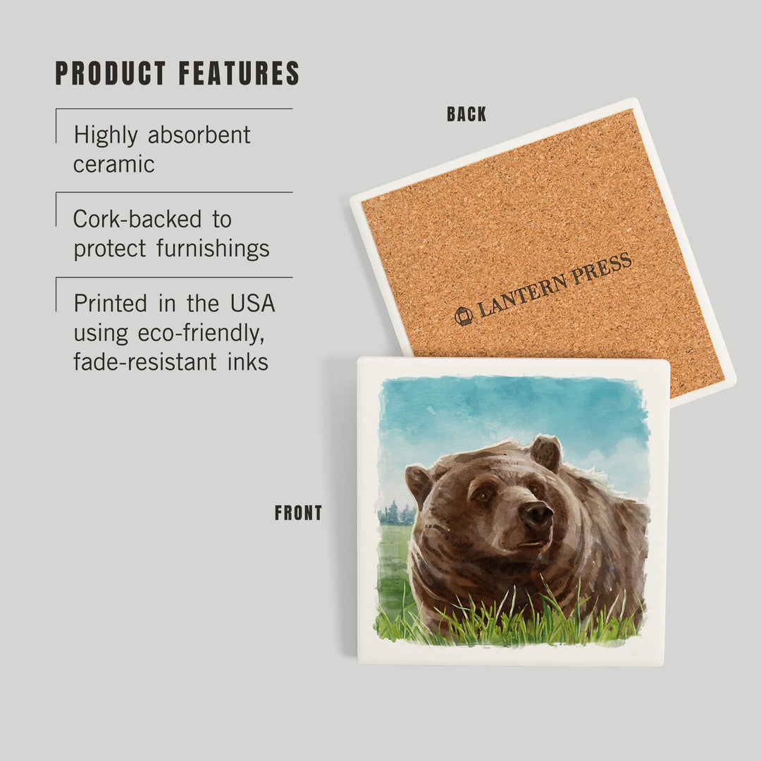 Watercolor Study, Grizzly Bear, Coasters Coasters Lantern Press 