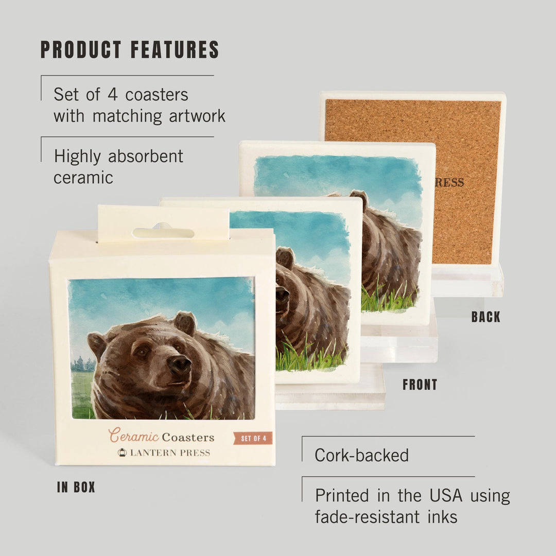 Watercolor Study, Grizzly Bear, Coasters Coasters Lantern Press 