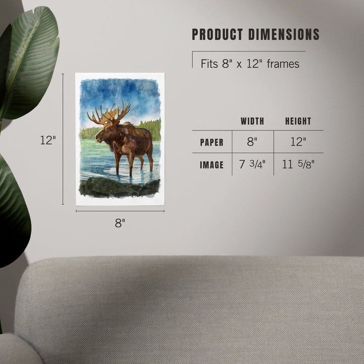 Watercolor Study, Moose, Art & Giclee Prints Art Lantern Press 