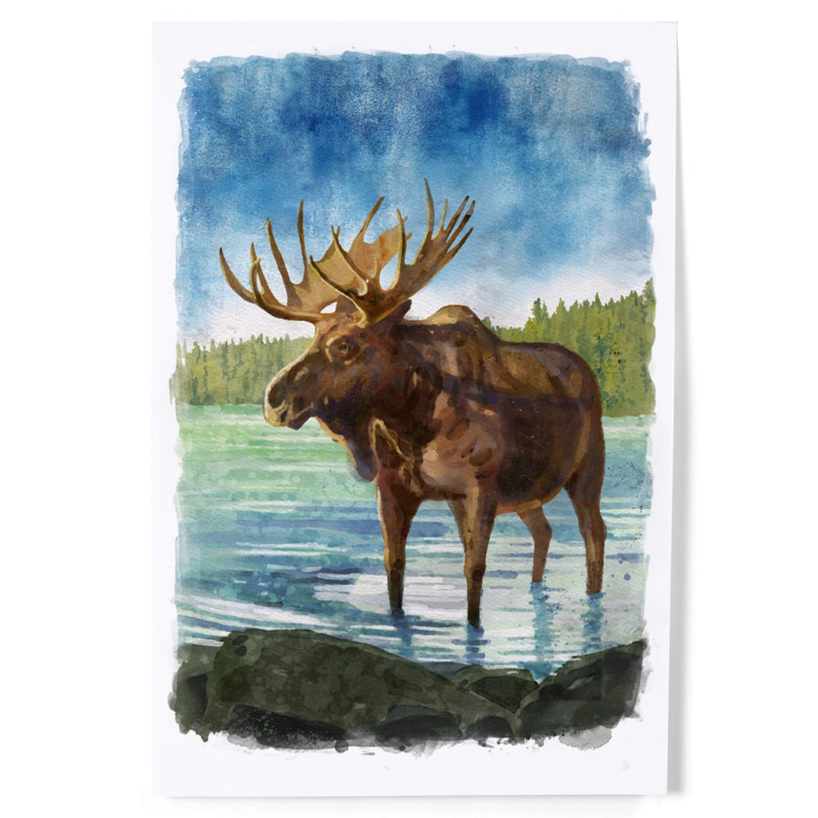 Watercolor Study, Moose, Art & Giclee Prints Art Lantern Press 