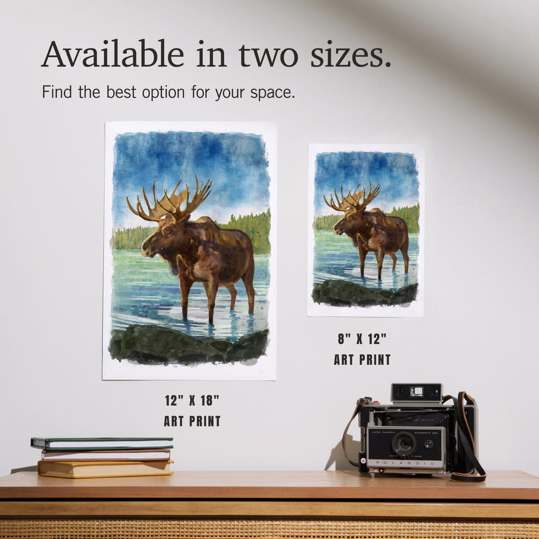 Watercolor Study, Moose, Art & Giclee Prints Art Lantern Press 