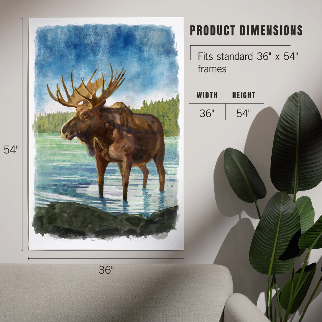 Watercolor Study, Moose, Art & Giclee Prints Art Lantern Press 