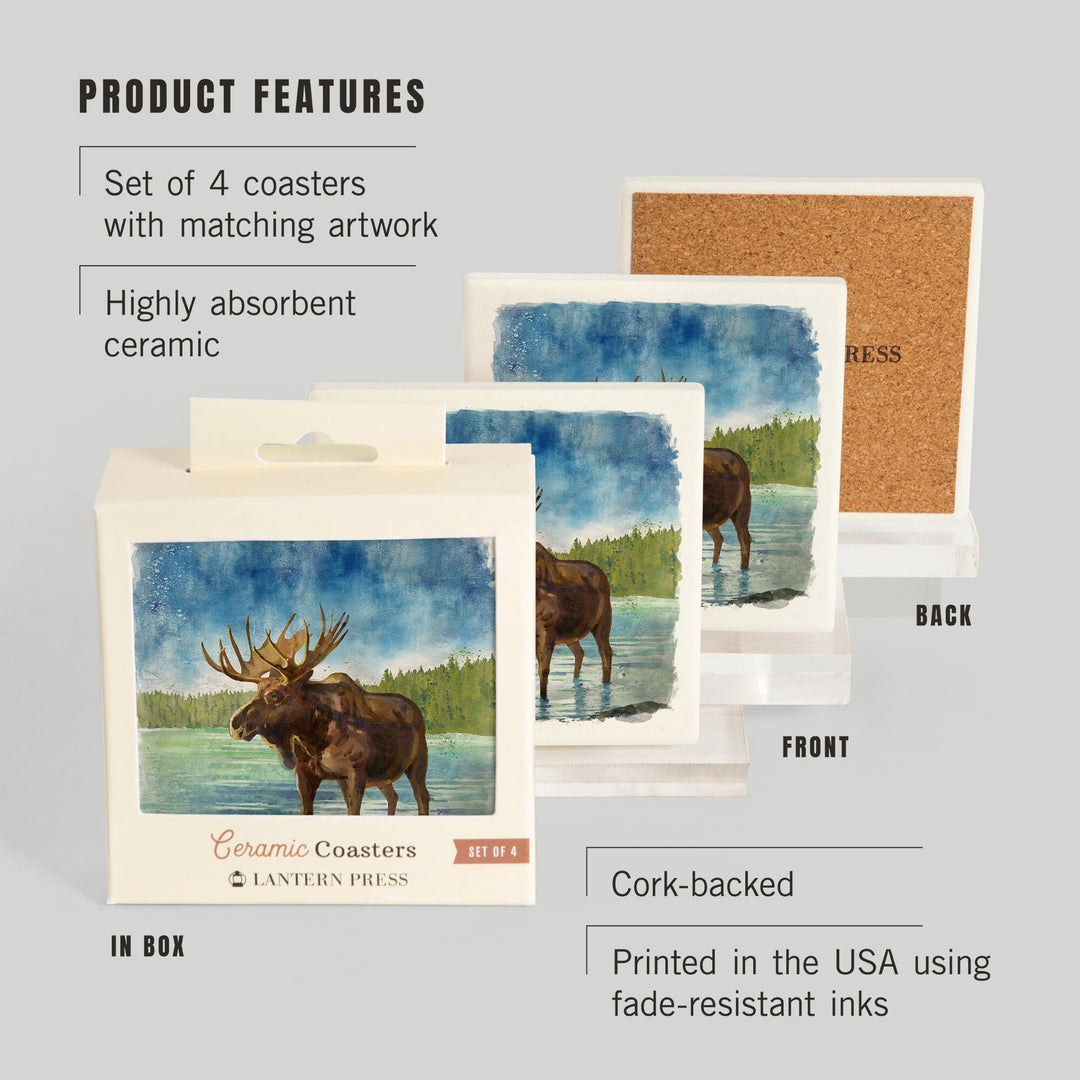Watercolor Study, Moose, Coasters Coasters Lantern Press 