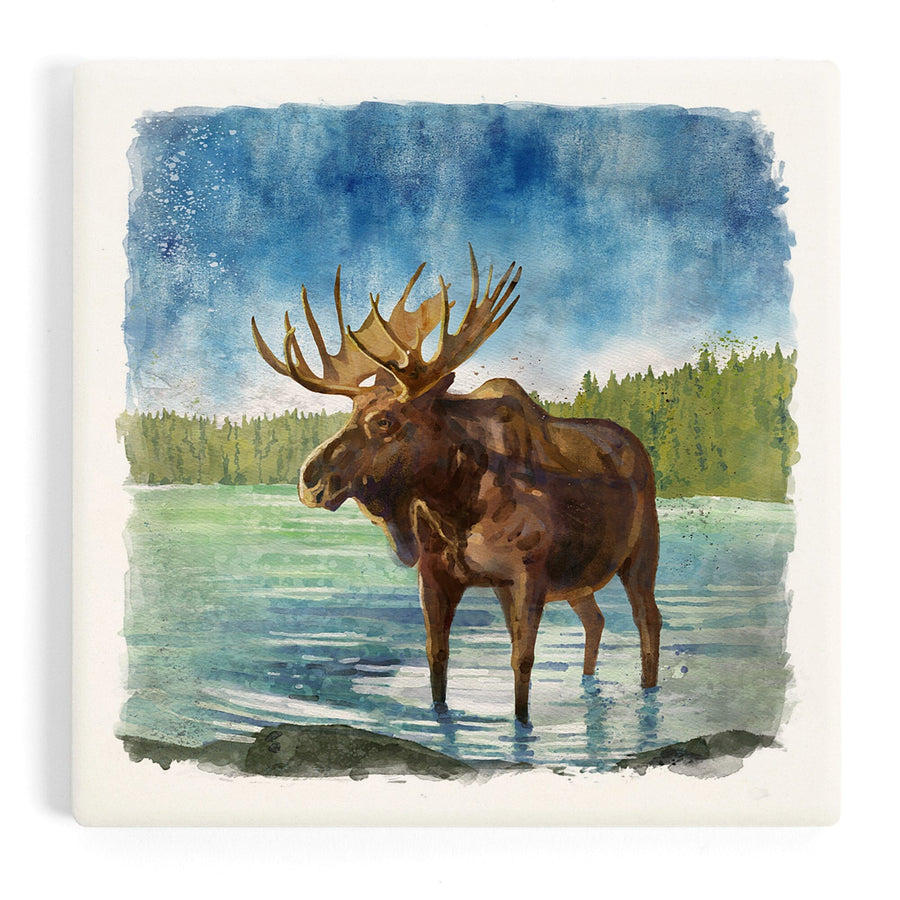 Watercolor Study, Moose, Coasters Coasters Lantern Press 