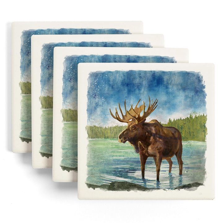Watercolor Study, Moose, Coasters Coasters Lantern Press 