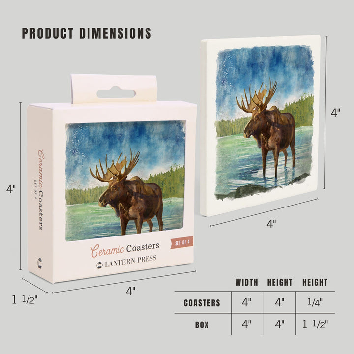 Watercolor Study, Moose, Coasters Coasters Lantern Press 