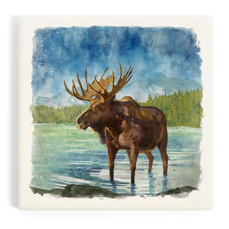 Watercolor Study, Moose with Mountain, Coasters Coasters Lantern Press 