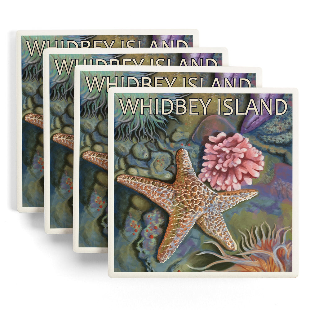 Whidbey Island, Washington, Tidepool, Coasters Coasters Lantern Press 