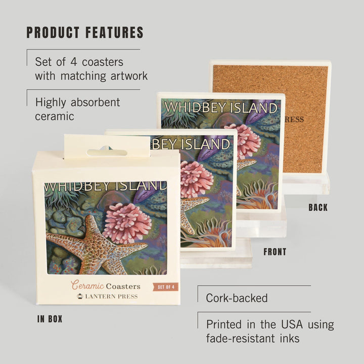 Whidbey Island, Washington, Tidepool, Coasters Coasters Lantern Press 