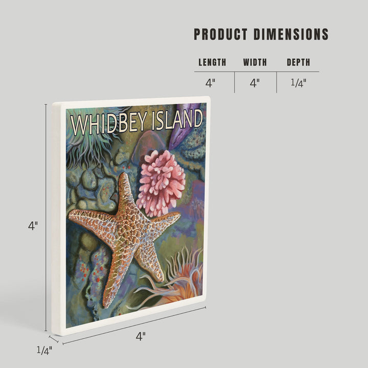 Whidbey Island, Washington, Tidepool, Coasters Coasters Lantern Press 