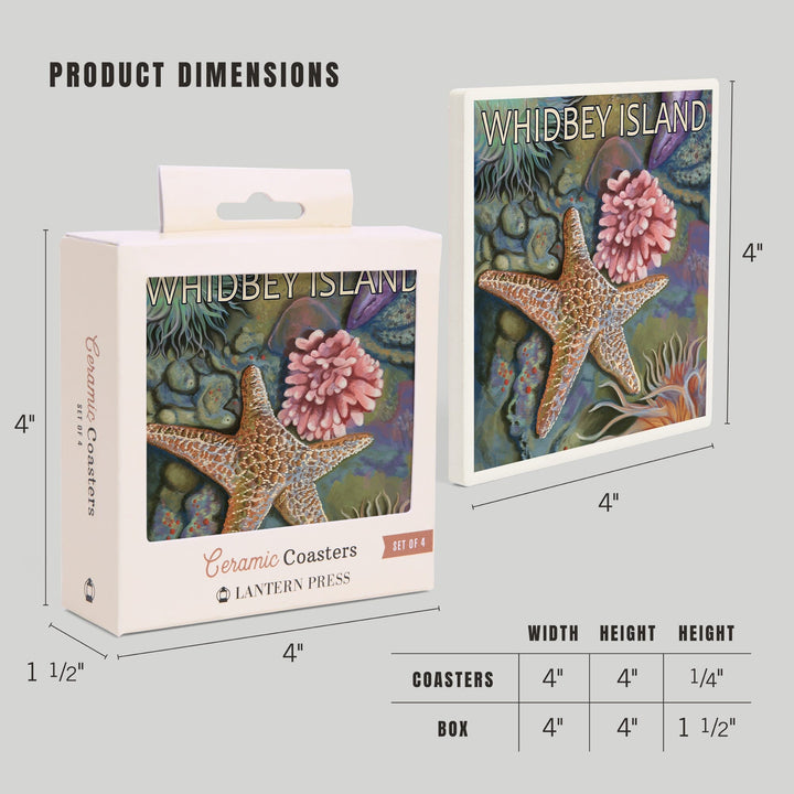 Whidbey Island, Washington, Tidepool, Coasters Coasters Lantern Press 