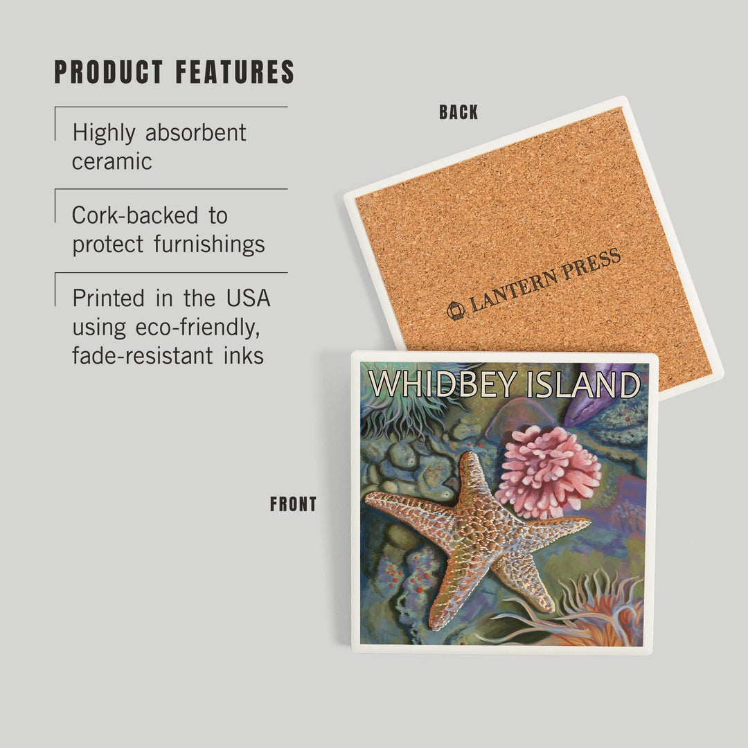 Whidbey Island, Washington, Tidepool, Coasters Coasters Lantern Press 