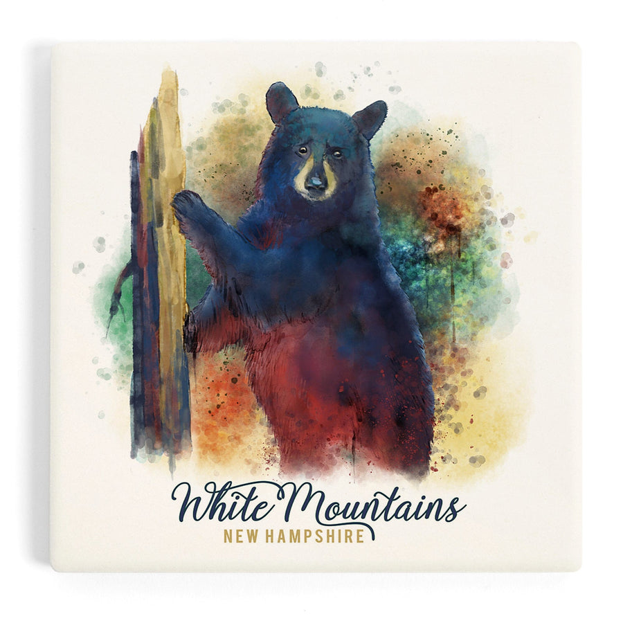 White Mountains, New Hampshire, Watercolor, Black Bear, Coasters Coasters Lantern Press 
