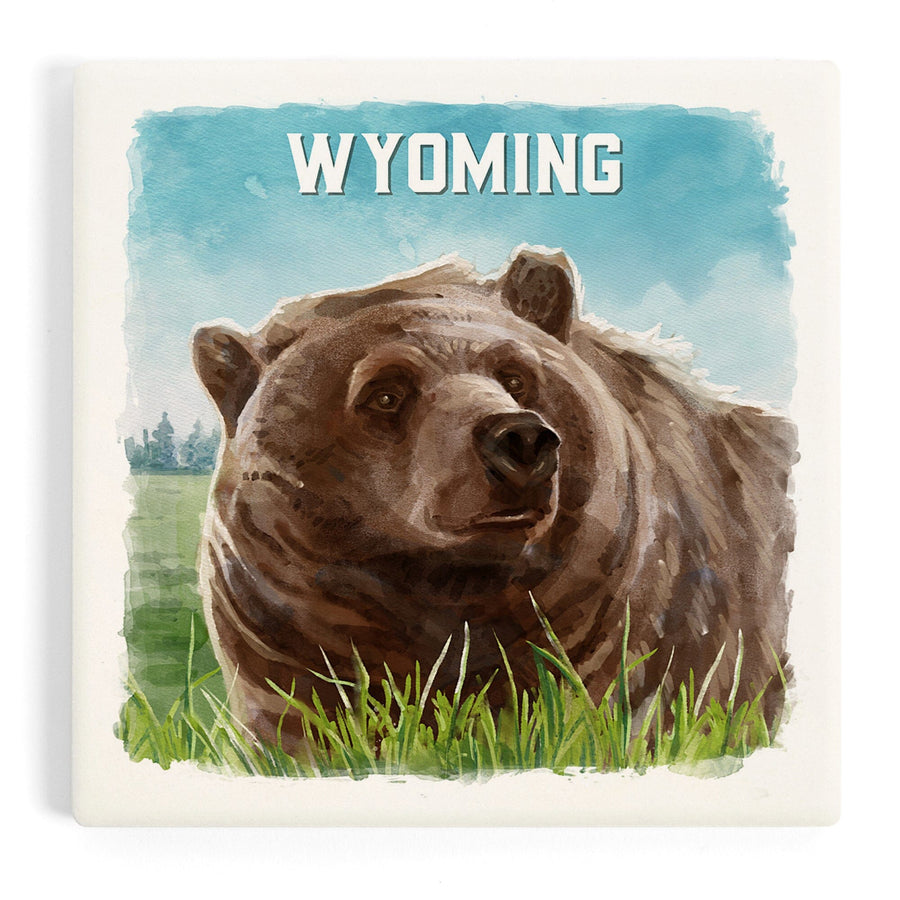 Wyoming, Watercolor Study, Grizzly Bear, Coasters Coasters Lantern Press 