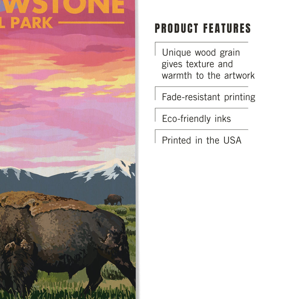 Yellowstone National Park, Wyoming, Bison & Sunset, Lantern Press Artwork, Wood Signs and Postcards Wood Lantern Press 