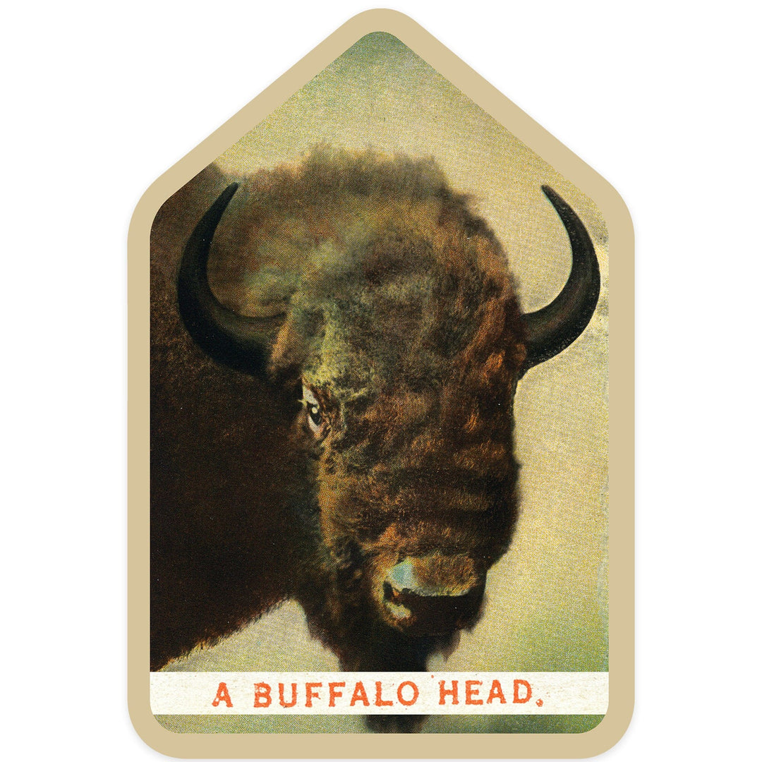 Yellowstone National Park, Wyoming, View of a Buffalo Head, Contour, Vinyl Sticker Sticker Lantern Press 