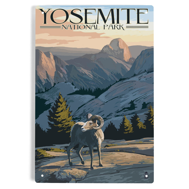 Yosemite National Park, California, Big Horn Sheep, Metal Signs Metal Lantern Press 