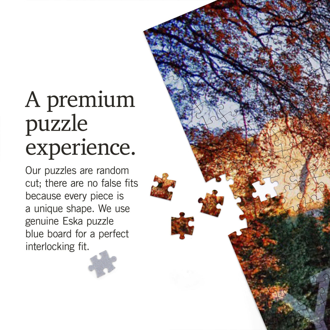 Yosemite National Park, California, Fall Colors and Reflection, Jigsaw Puzzle Puzzle Lantern Press 