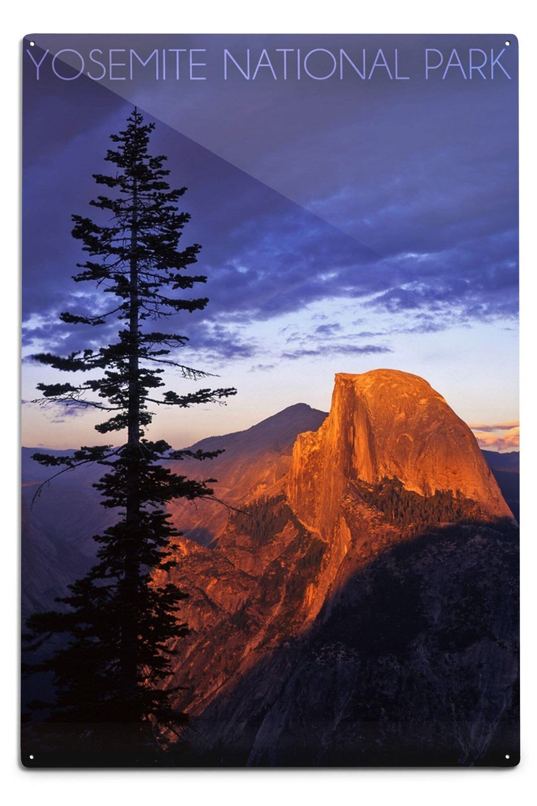 Yosemite National Park, California, Half Dome and Pine Tree, Metal Signs Metal Lantern Press 12x18 Metal Sign 