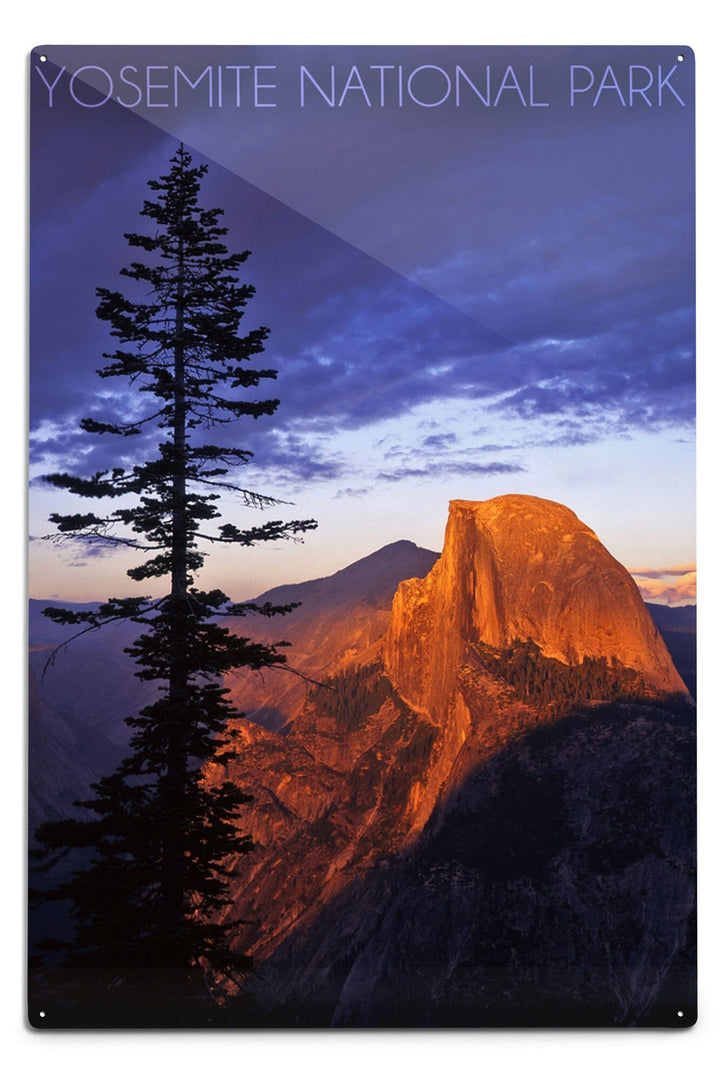 Yosemite National Park, California, Half Dome and Pine Tree, Metal Signs Metal Lantern Press 12x18 Metal Sign 