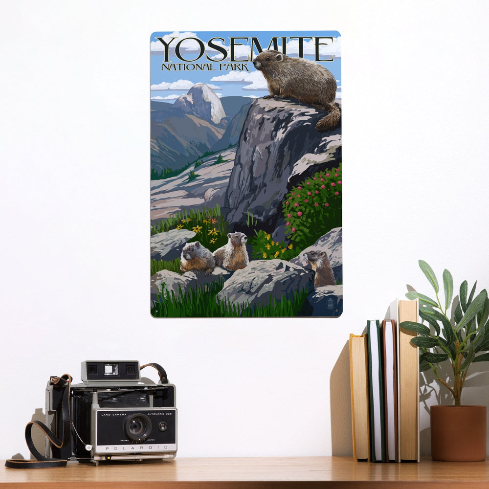 Yosemite National Park, California, Marmots, Metal Signs Metal Lantern Press 