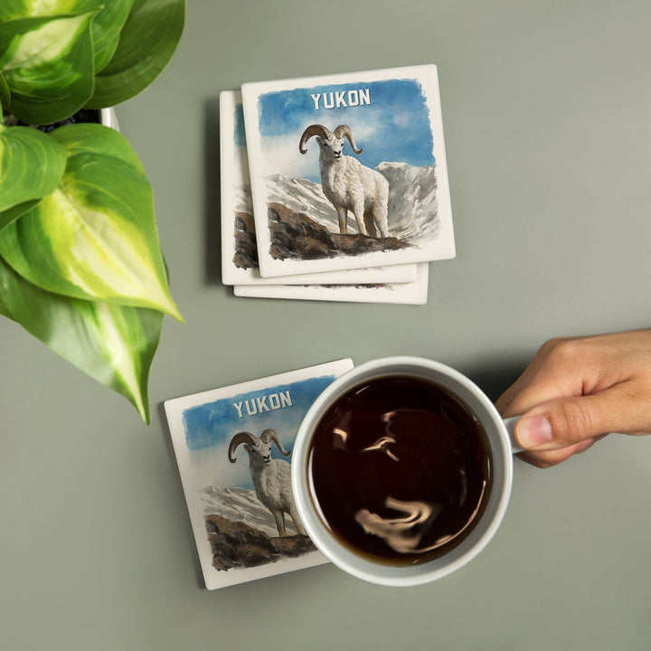 Yukon, Watercolor Study, Dall Sheep, Coasters Coasters Lantern Press 