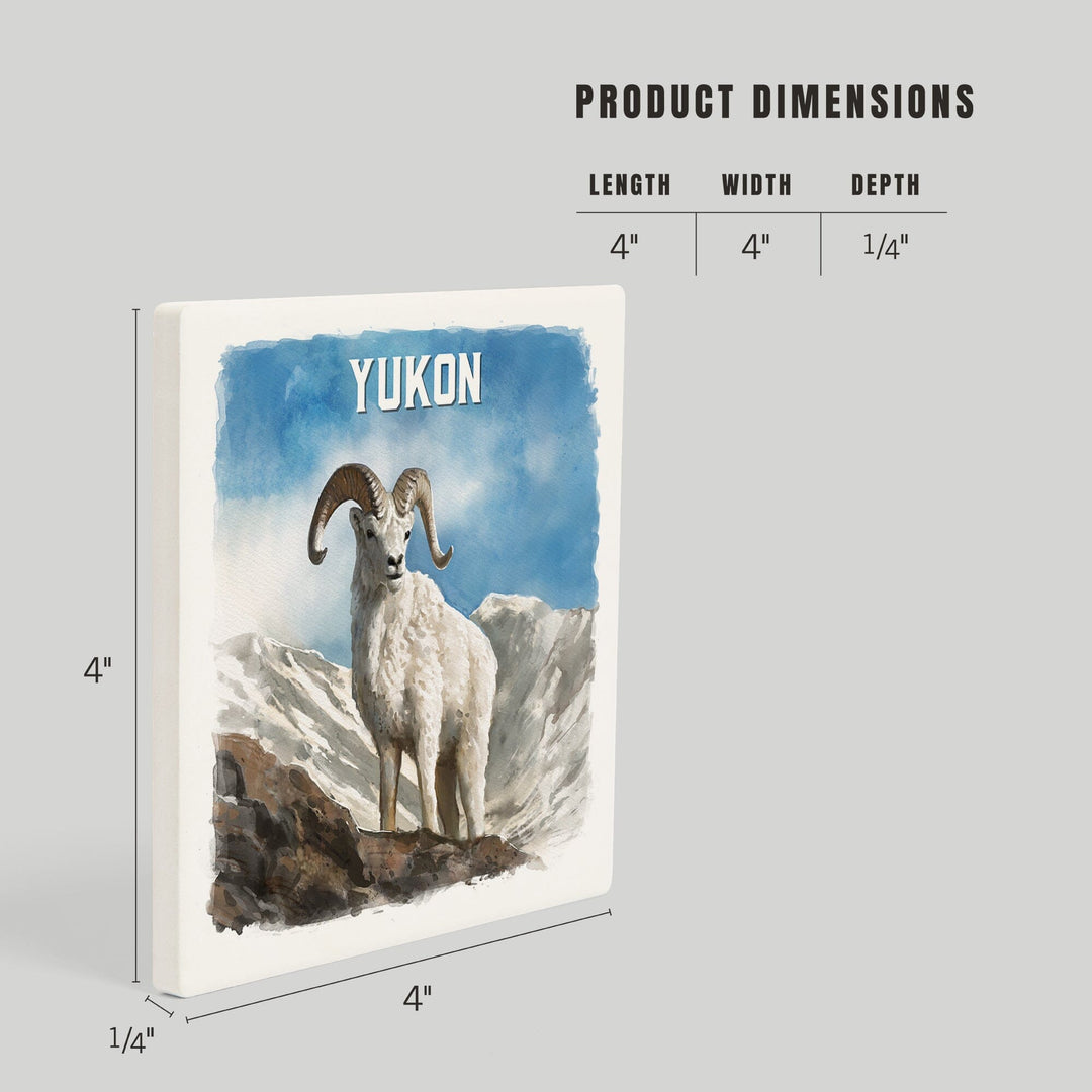 Yukon, Watercolor Study, Dall Sheep, Coasters Coasters Lantern Press 