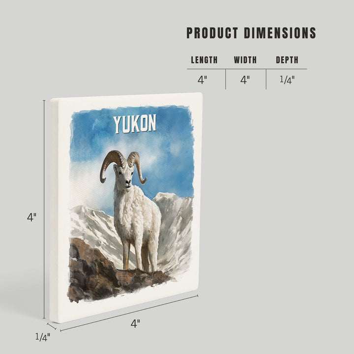 Yukon, Watercolor Study, Dall Sheep, Coasters Coasters Lantern Press 