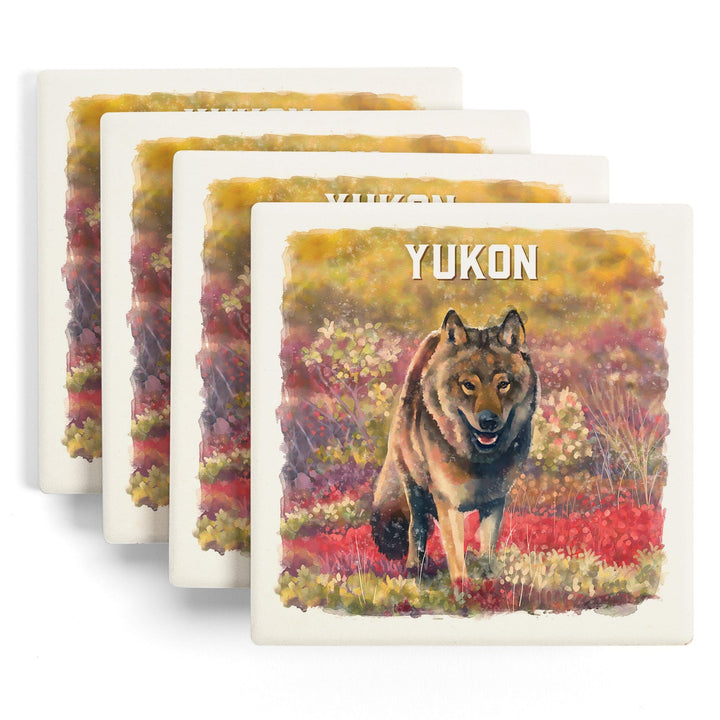 Yukon, Watercolor Study, Gray Wolf, Coasters Coasters Lantern Press 