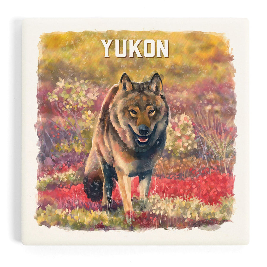 Yukon, Watercolor Study, Gray Wolf, Coasters Coasters Lantern Press 