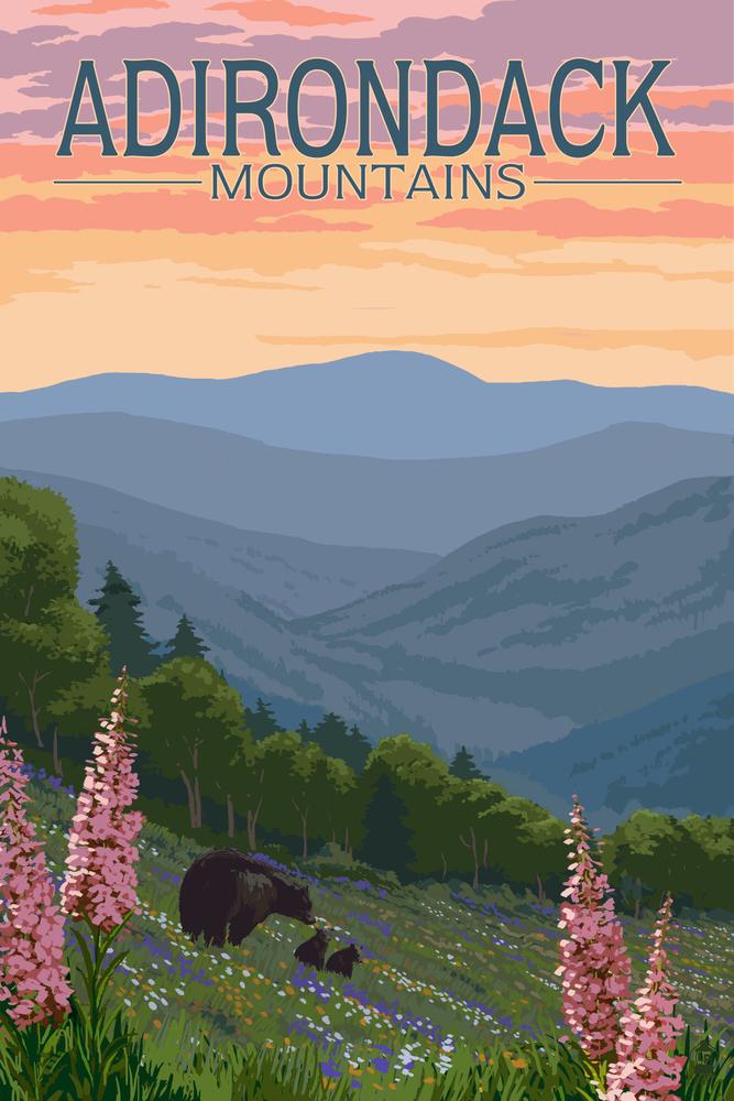 Adirondack Mountains, New York, Bears & Spring Flowers, Lantern Press Artwork, Art Prints and Metal Signs Art Lantern Press 12 x 18 Art Print 