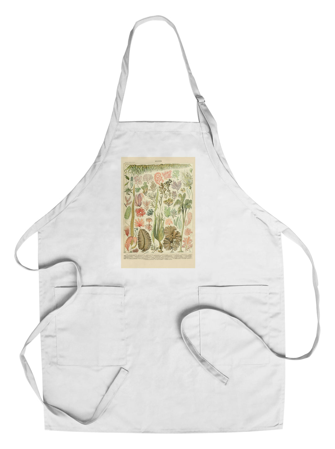 Algae, Vintage Bookplate, Adolphe Millot Artwork, Towels and Aprons Kitchen Lantern Press Chef's Apron 