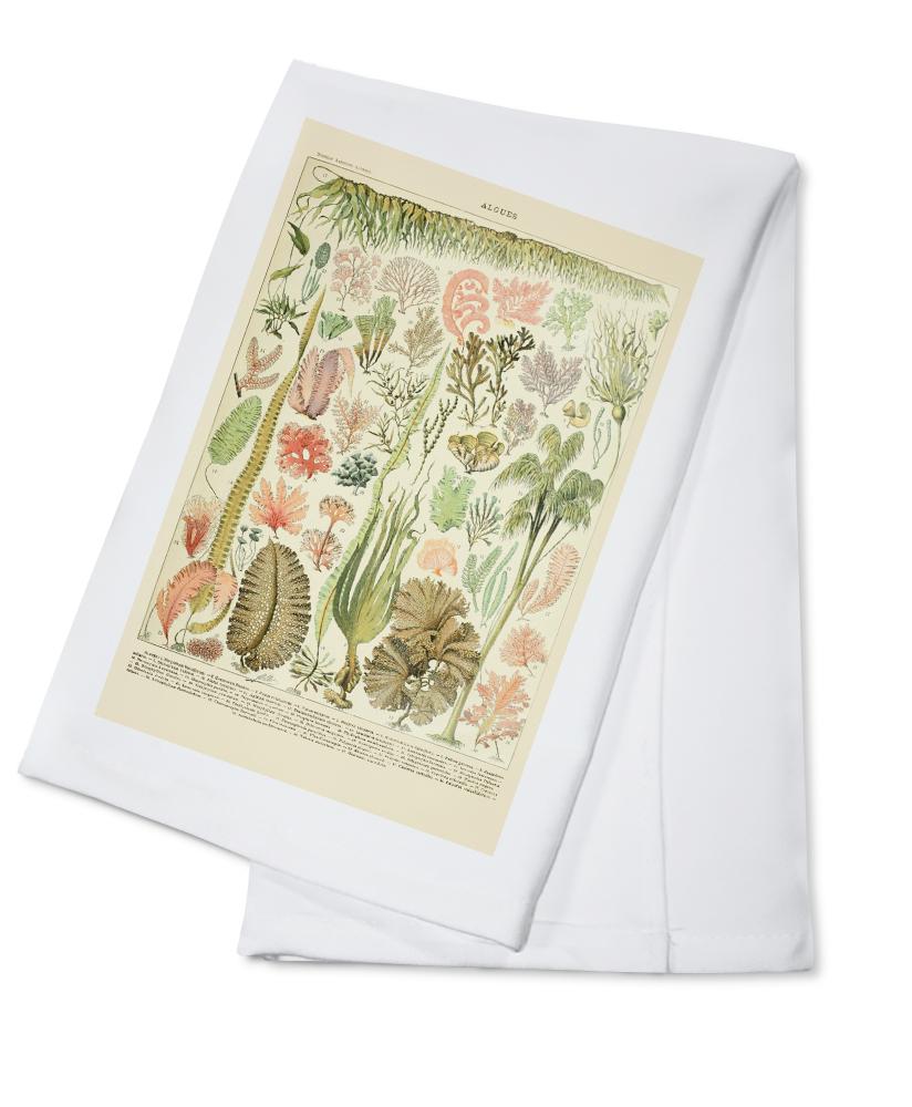 Algae, Vintage Bookplate, Adolphe Millot Artwork, Towels and Aprons Kitchen Lantern Press Cotton Towel 