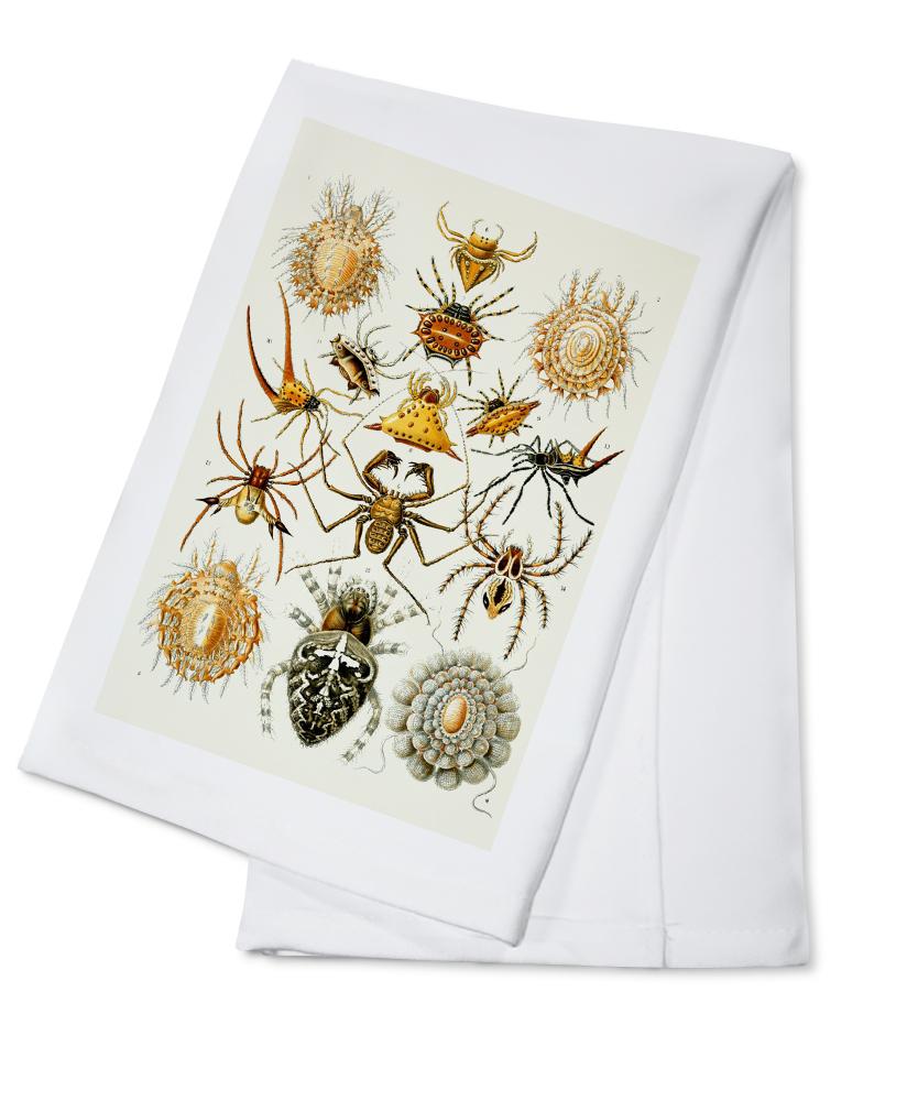 Art Forms of Nature, Arachnida (Spiders), Ernst Haeckel Artwork, Towels and Aprons Kitchen Lantern Press 