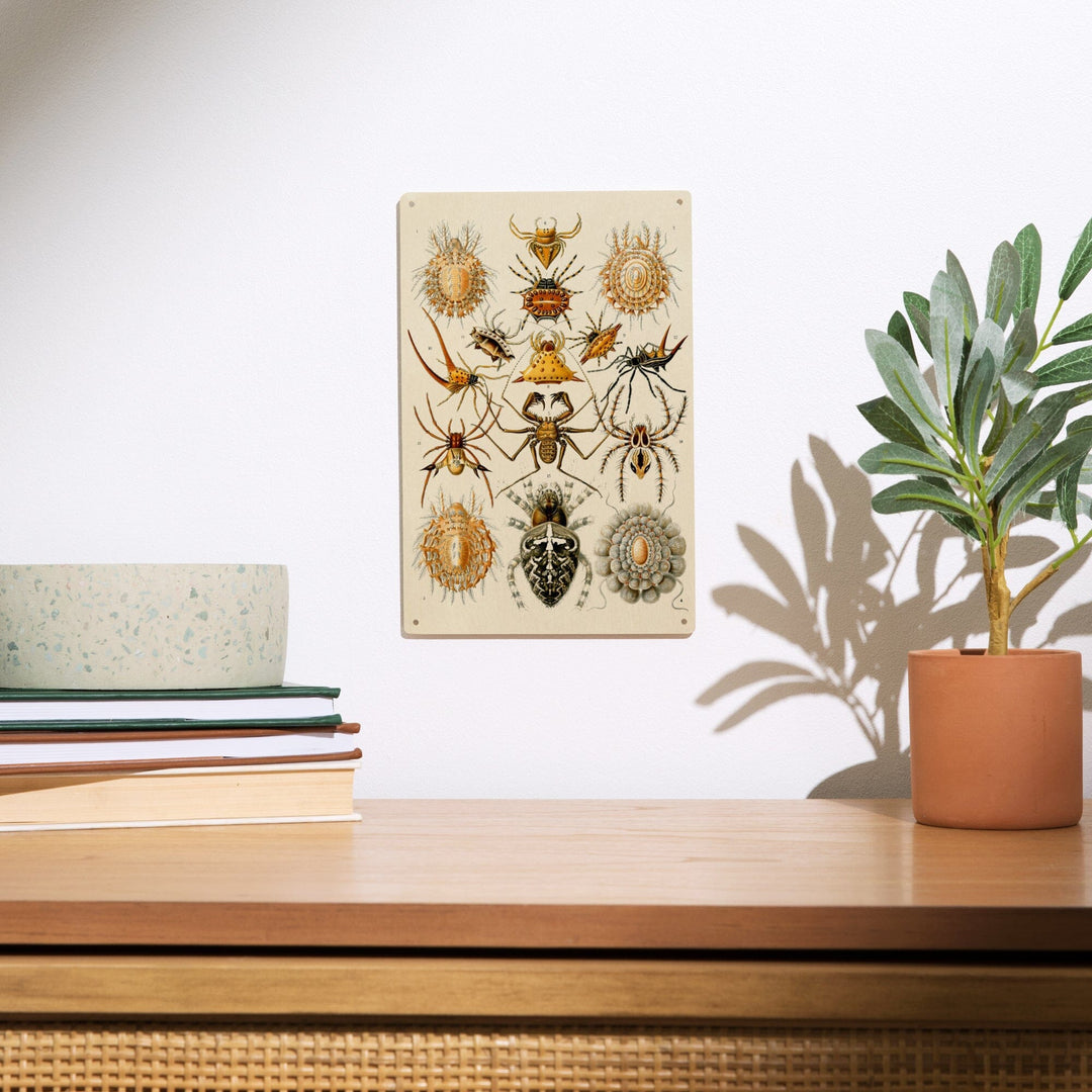 Art Forms of Nature, Arachnida (Spiders), Ernst Haeckel Artwork, Wood Signs and Postcards Wood Lantern Press 