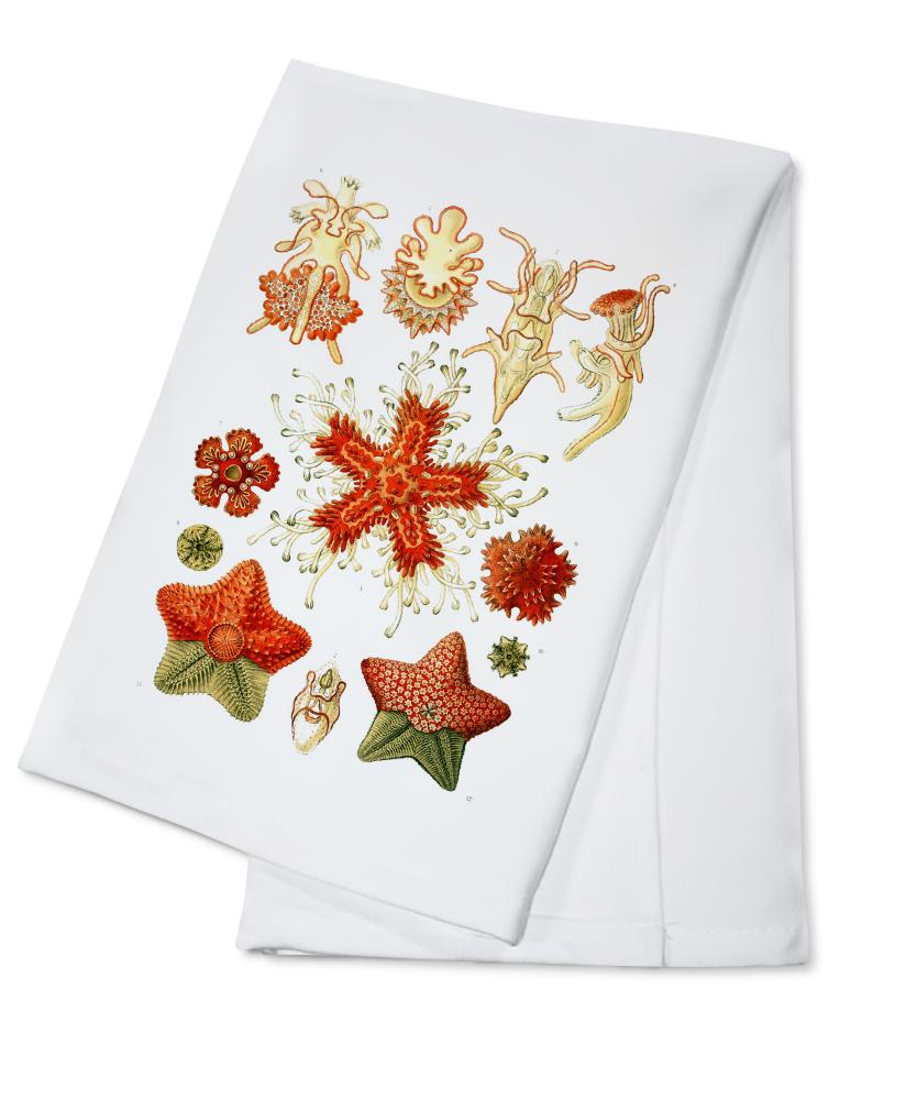 Art Forms of Nature, Asteridea, Ernst Haeckel Artwork, Towels and Aprons Kitchen Lantern Press 