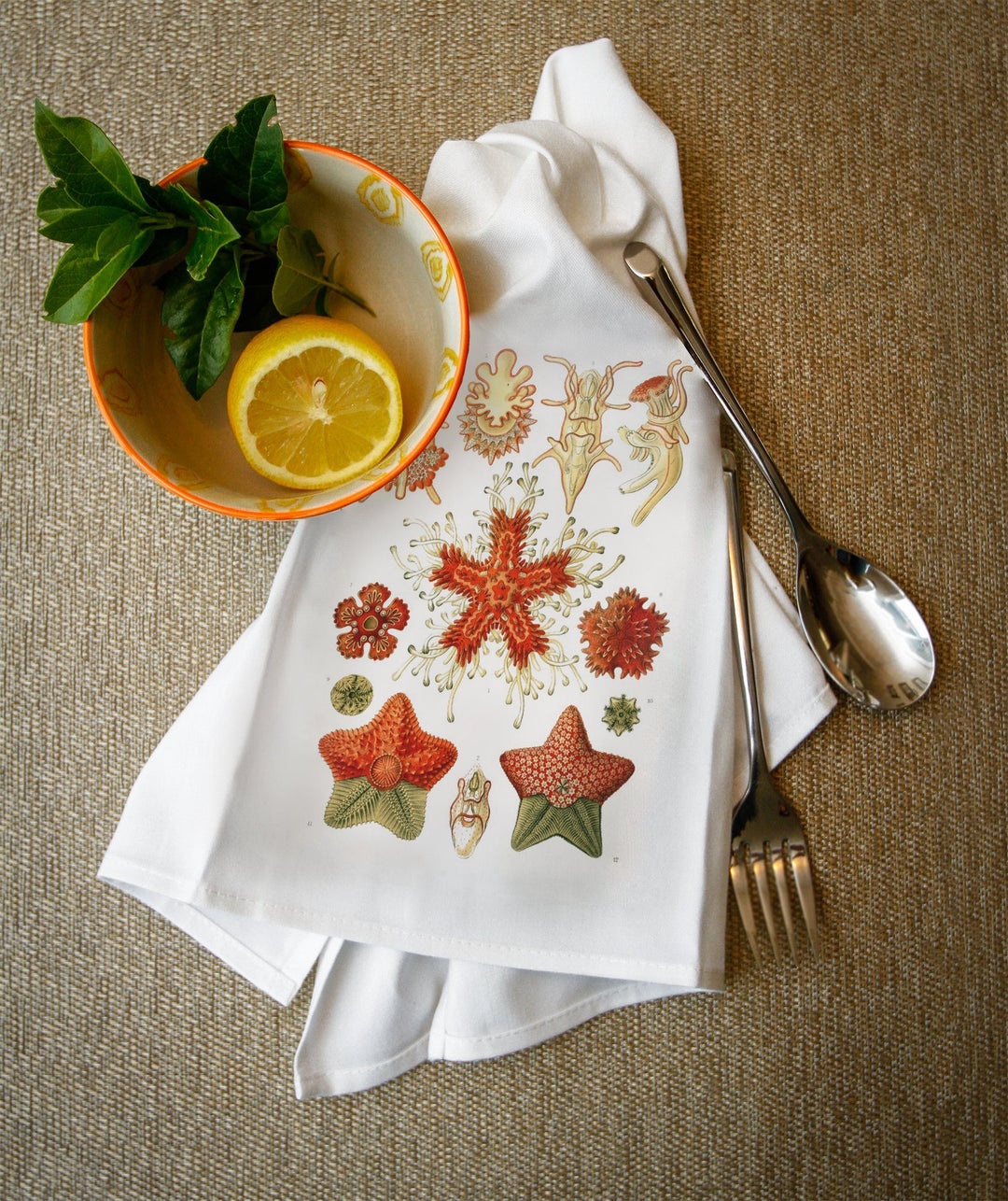 Art Forms of Nature, Asteridea, Ernst Haeckel Artwork, Towels and Aprons Kitchen Lantern Press 