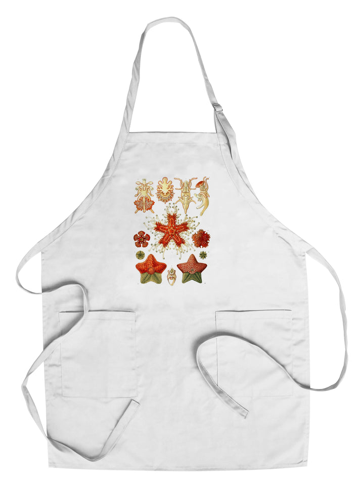 Art Forms of Nature, Asteridea, Ernst Haeckel Artwork, Towels and Aprons Kitchen Lantern Press Chef's Apron 
