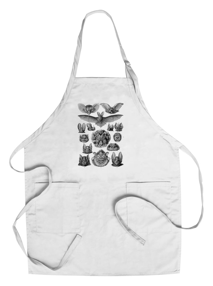 Art Forms of Nature, Chiroptera (Bats), Ernst Haeckel Artwork, Towels and Aprons Kitchen Lantern Press Chef's Apron 