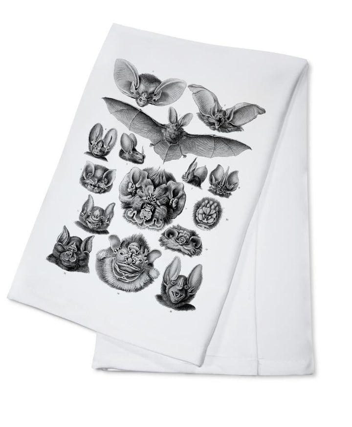 Art Forms of Nature, Chiroptera (Bats), Ernst Haeckel Artwork, Towels and Aprons Kitchen Lantern Press Cotton Towel 