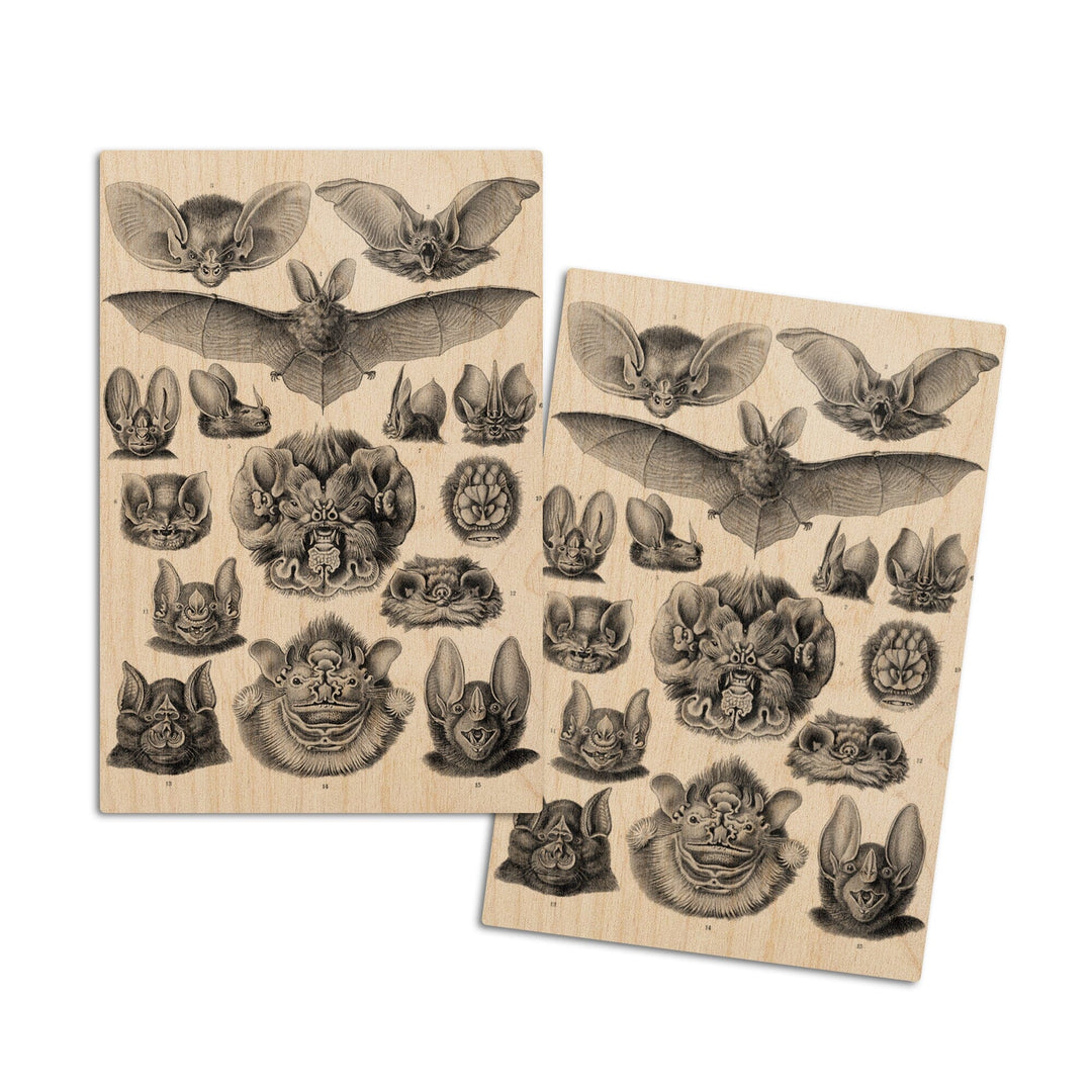 Art Forms of Nature, Chiroptera (Bats), Ernst Haeckel Artwork, Wood Signs and Postcards Wood Lantern Press 4x6 Wood Postcard Set 