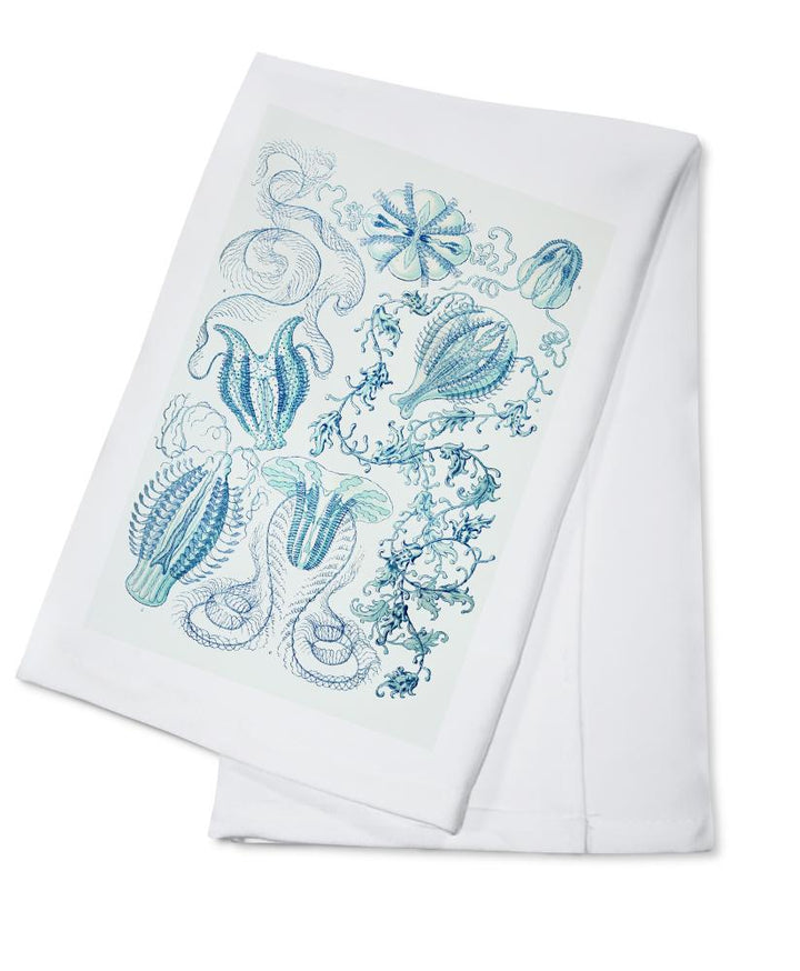 Art Forms of Nature, Ctenophorae, Ernst Haeckel Artwork, Towels and Aprons Kitchen Lantern Press Cotton Towel 