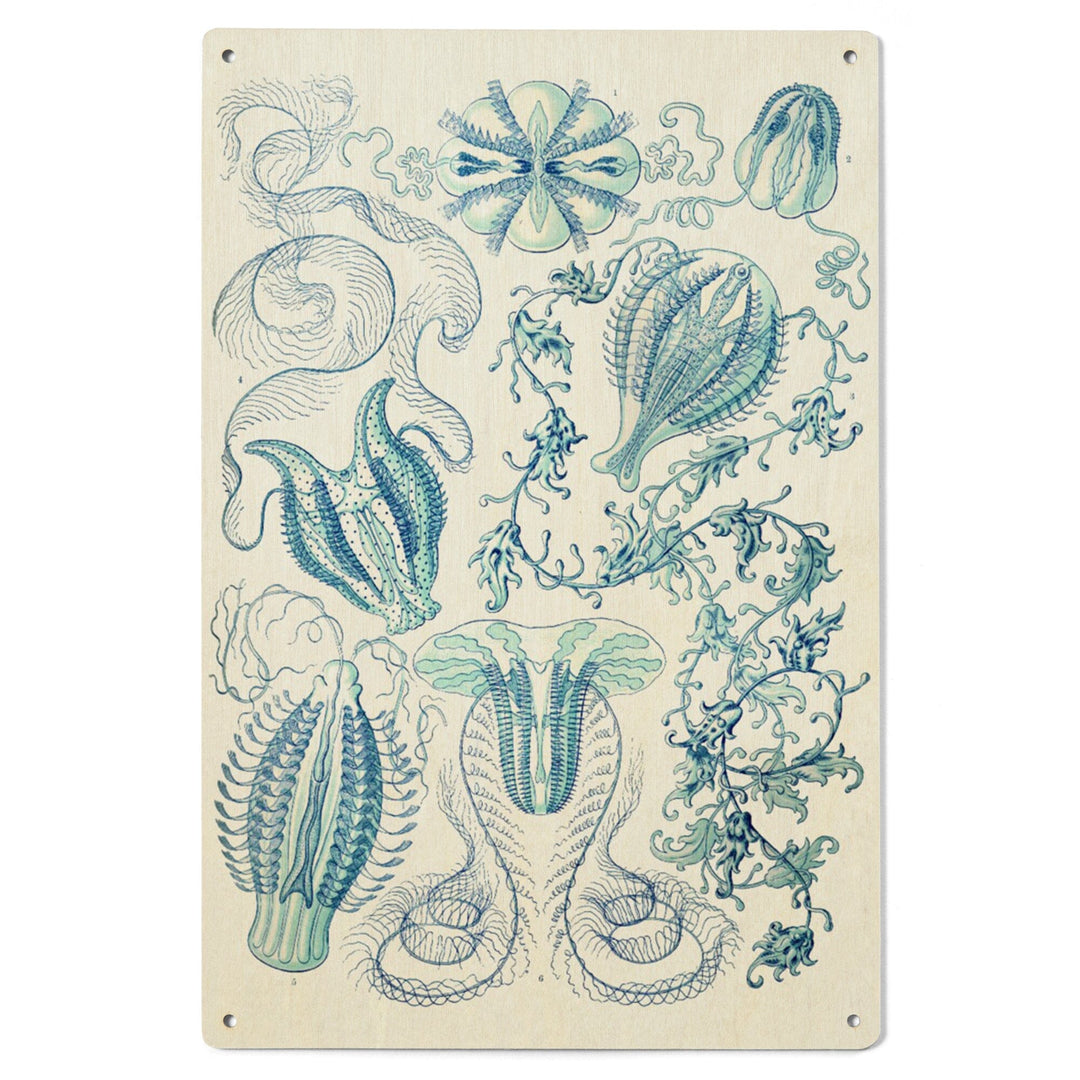 Art Forms of Nature, Ctenophorae, Ernst Haeckel Artwork, Wood Signs and Postcards Wood Lantern Press 