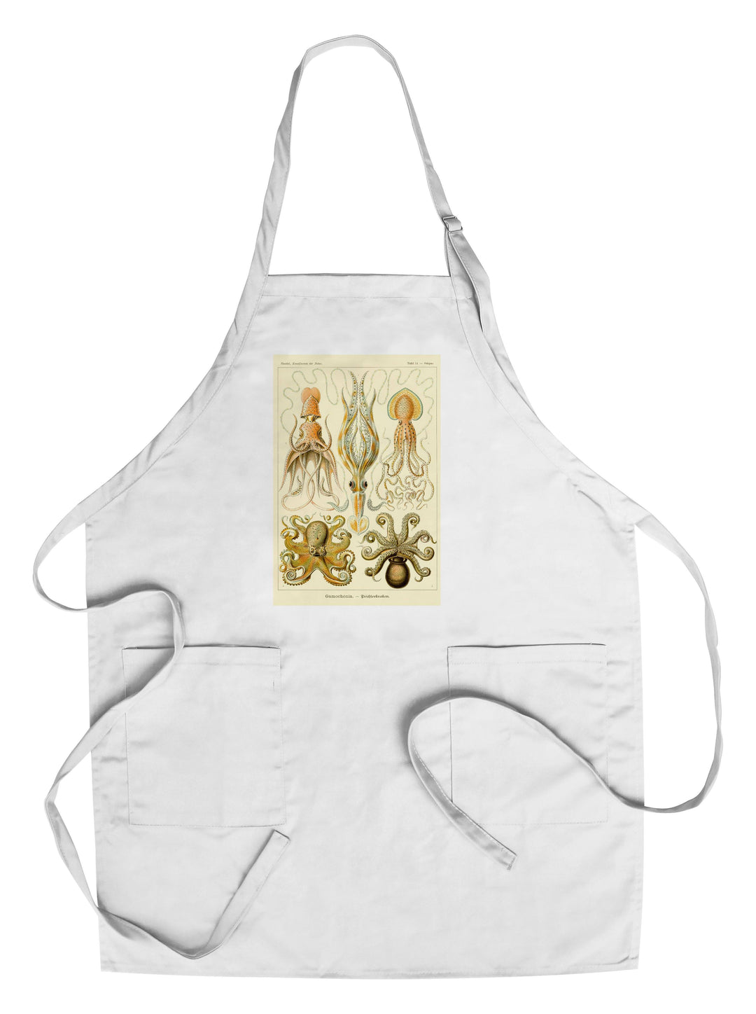 Art Forms of Nature, Gamochonia (Octopuses & Squids), Ernst Haeckel Artwork, Towels and Aprons Kitchen Lantern Press Chef's Apron 