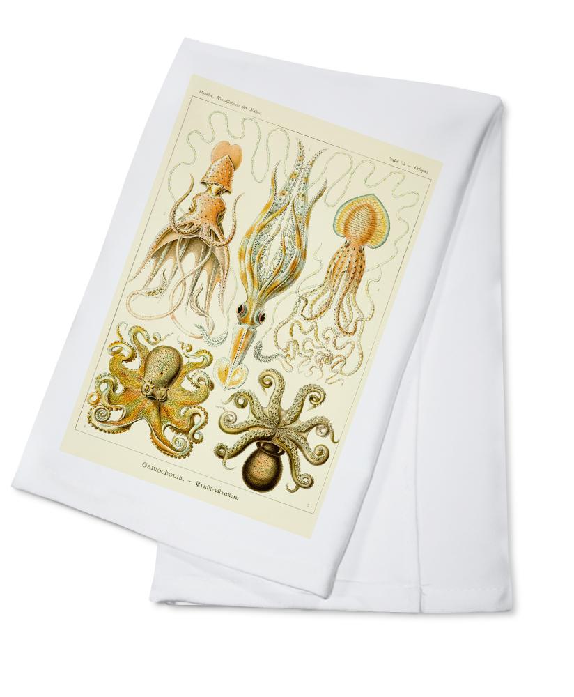 Art Forms of Nature, Gamochonia (Octopuses & Squids), Ernst Haeckel Artwork, Towels and Aprons Kitchen Lantern Press Cotton Towel 