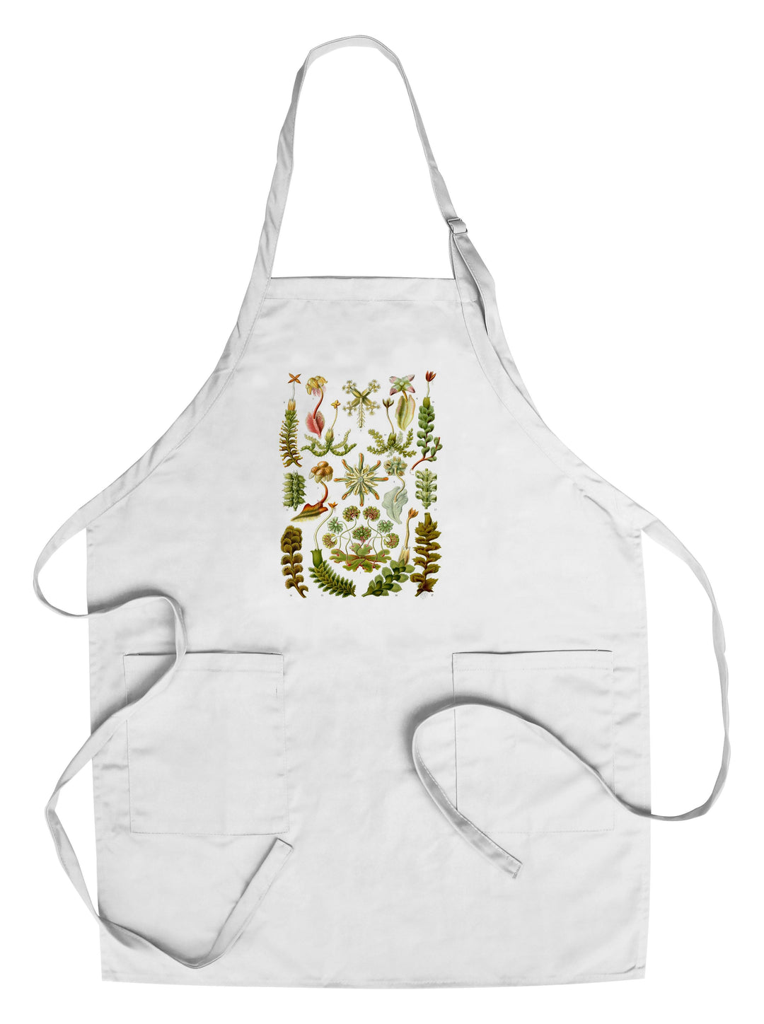 Art Forms of Nature, Hepaticae (Flowers), Ernst Haeckel Artwork, Towels and Aprons Kitchen Lantern Press 